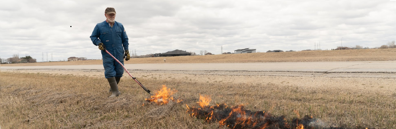 Tallgrass Prairie Conservation & Restoration