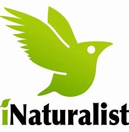 iNaturalist.jpg