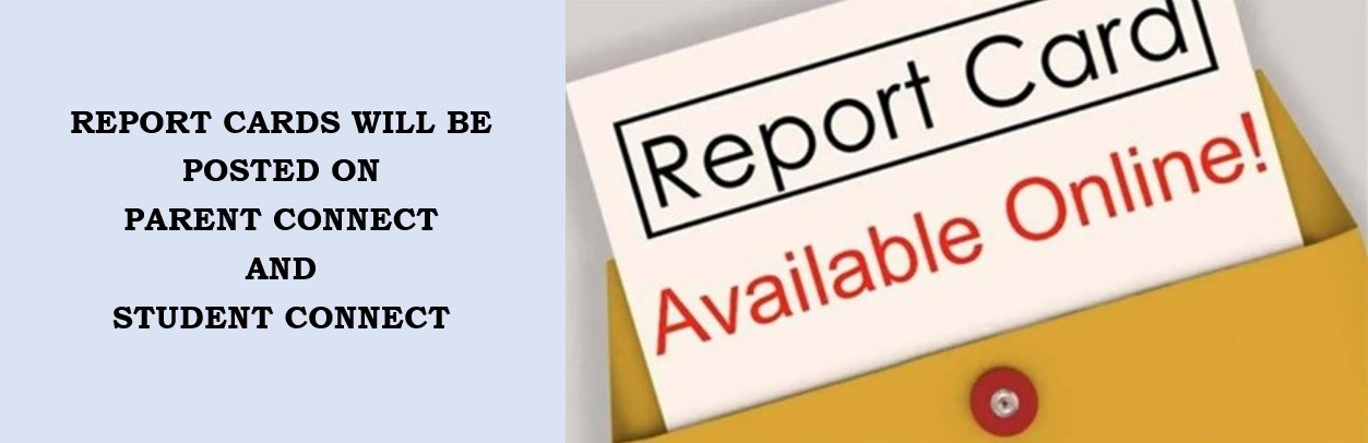 Report Cards will be available to view on Friday, Feb. 7th - Click on the FOLDER TAB