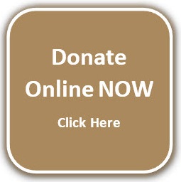 Donate Now.jpg