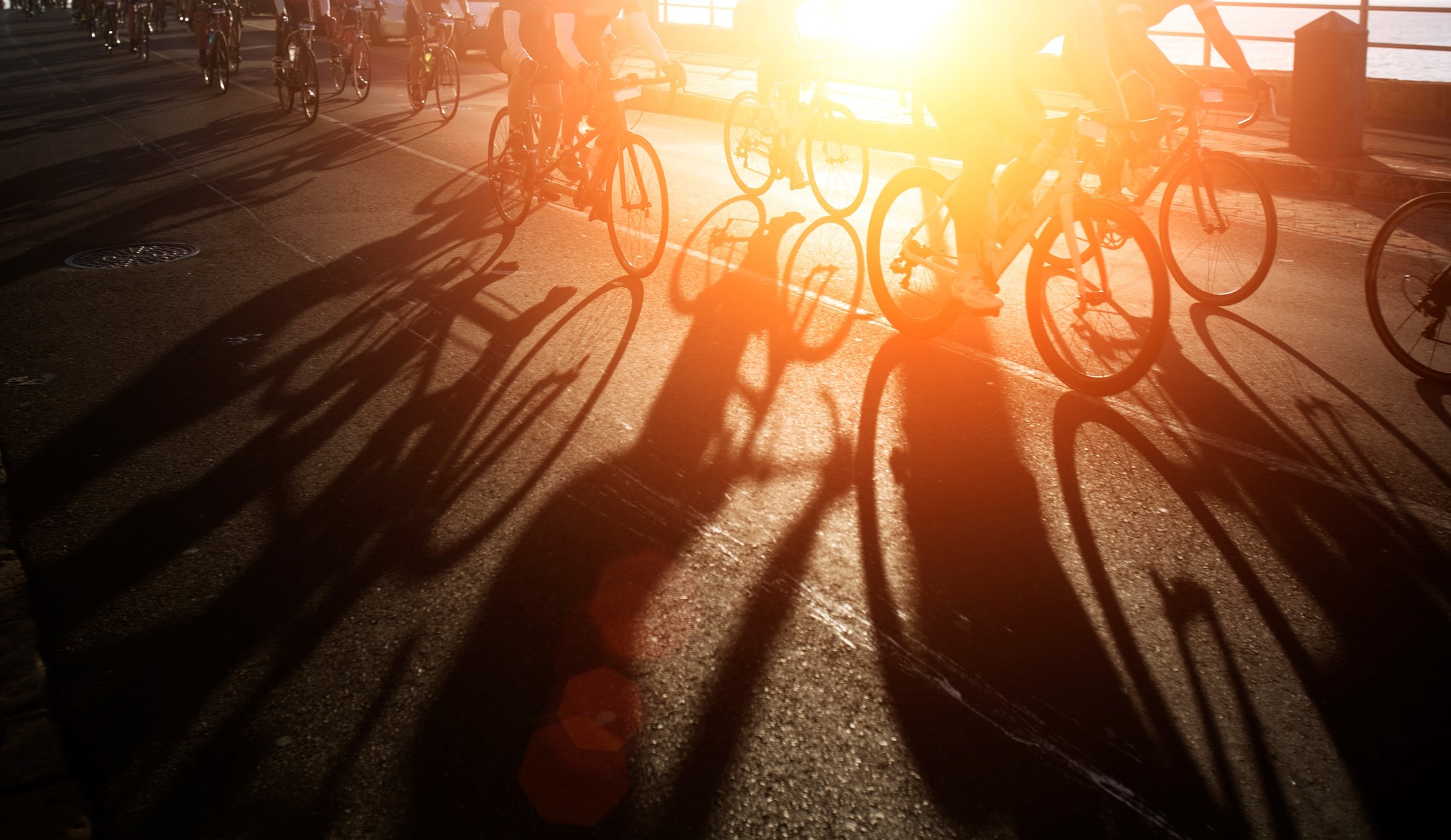 bikes.jpg